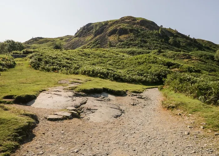 Vakantiehuis 8 Oaks Field